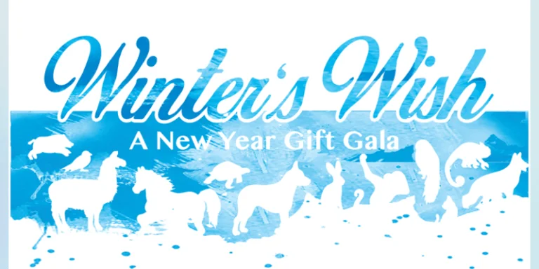 Little Angels Project Fundraiser Gala December 2nd