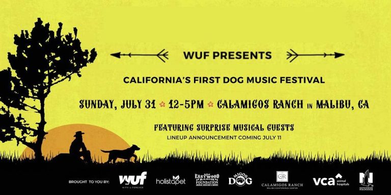 July 31st Fundraiser