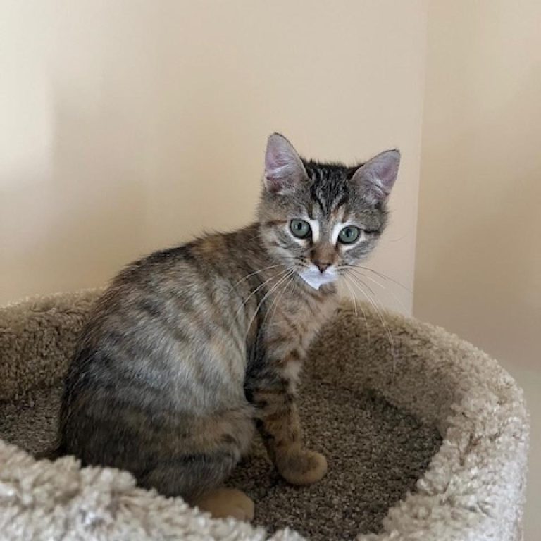 Meet Emma