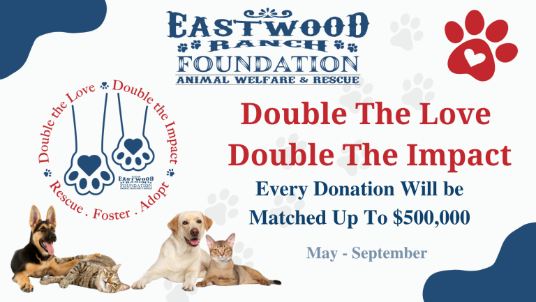 Celebrate, Advocate, & Double Your Impact for Animal Rescue!