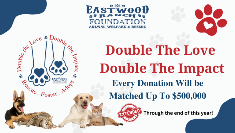 Celebrate, Advocate, & Double Your Impact for Animal Rescue!