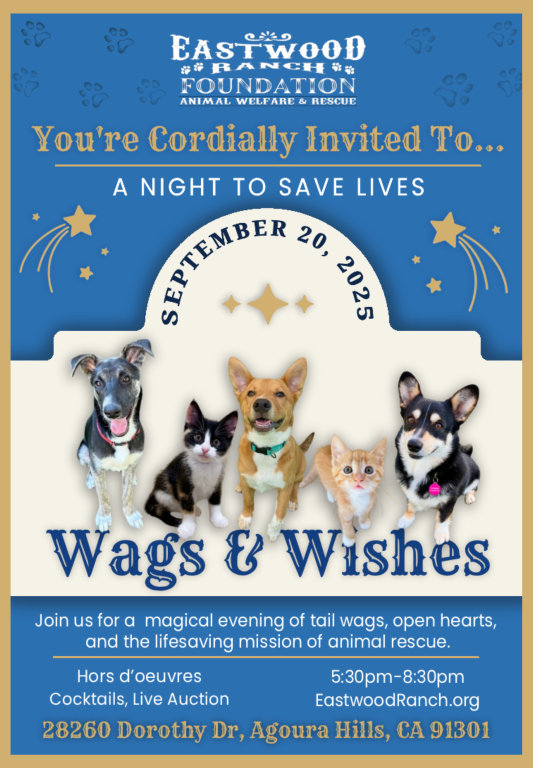 Eastwood Ranch Foundation Fundraiser Invitation