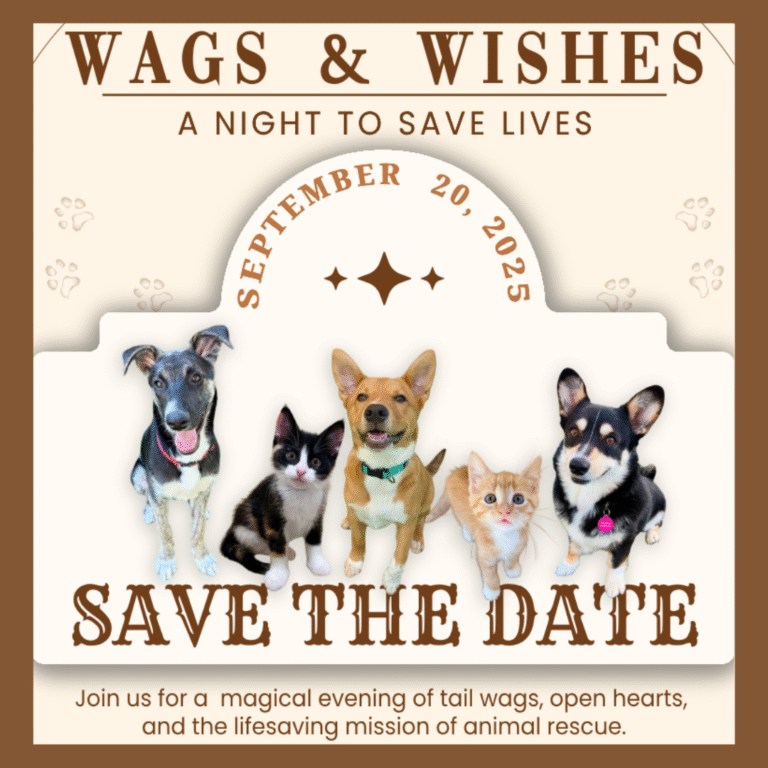 Eastwood Ranch Foundation Fundraiser 2025
