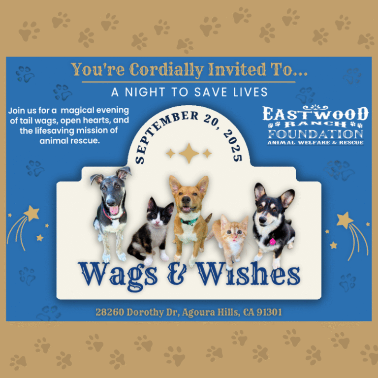 Wags and Wishes: A Night to Celebrate and Support Animal Rescue