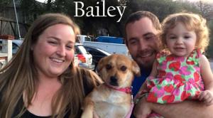Bailey   