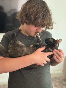 Pet Adoption Success 