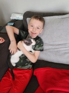 Pet Adoption Success 