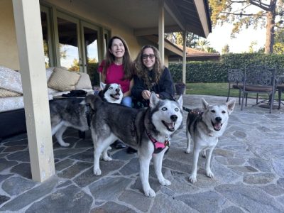 Pet Adoption Success 