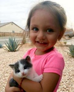 PurrfectKitty     