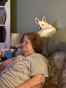 Pet Adoption Success 