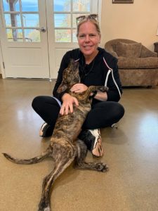 Pet Adoption Success 