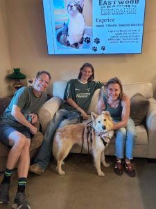 Pet Adoption Success 