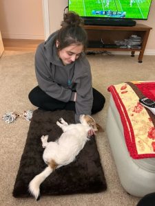 Pet Adoption Success 