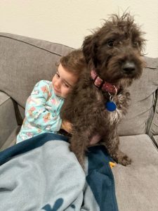 Pet Adoption Success 