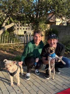 Pet Adoption Success 