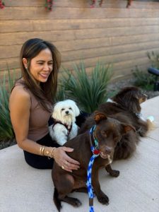 Pet Adoption Success 