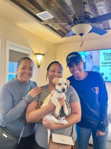 Pet Adoption Success 